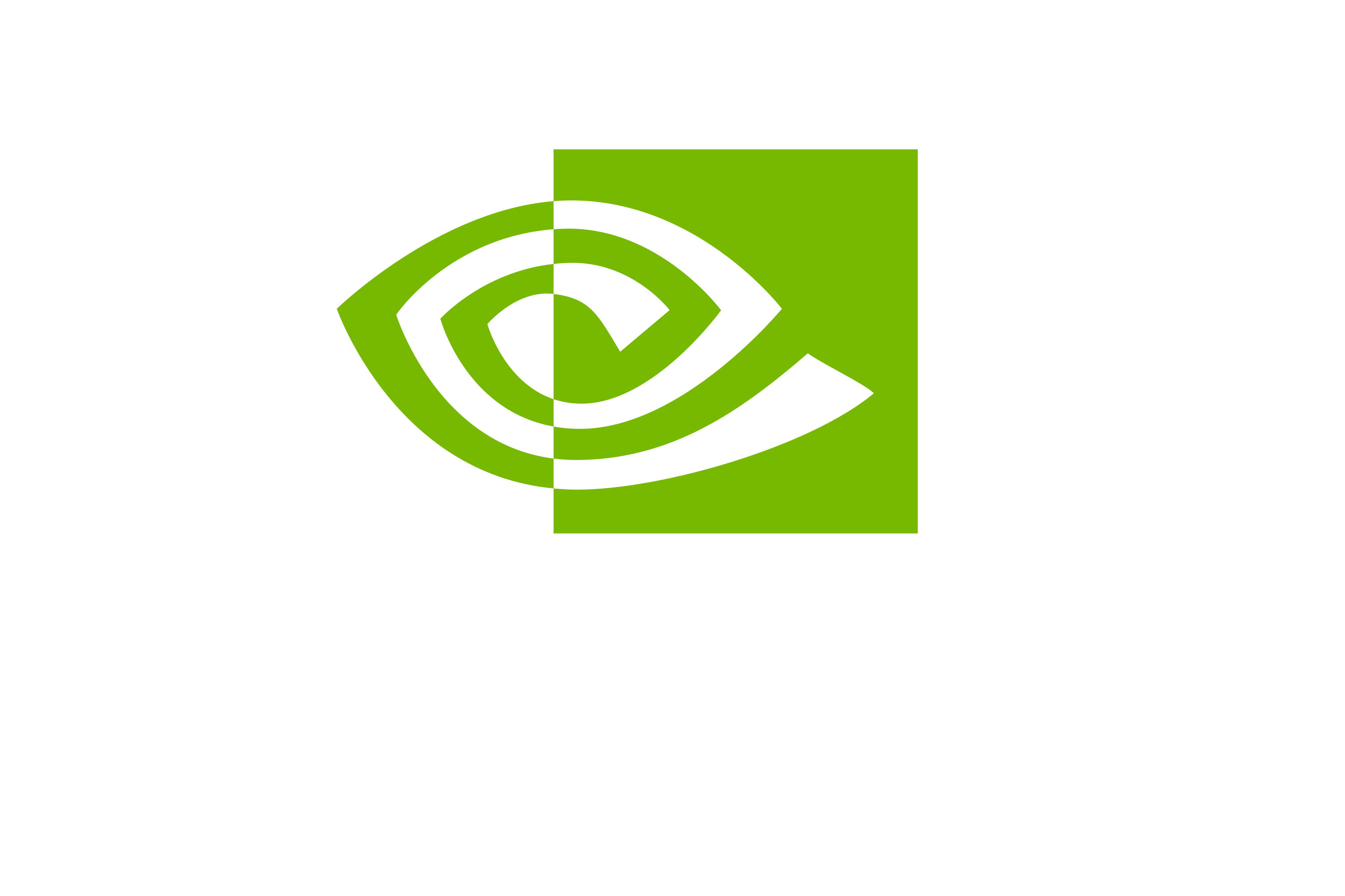 NVIDIA Partner Logo